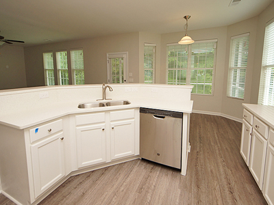 Kitchen and Family Room